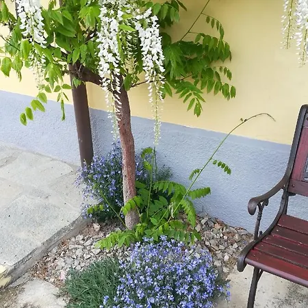 Летний дом La Casa Dei Masue'