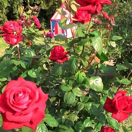 منزل ريفي La Casa Dei Masue'