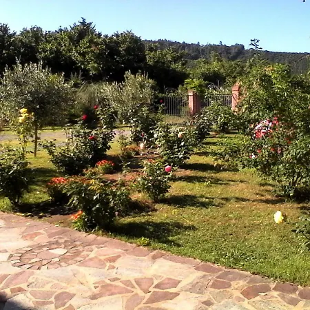 La Casa Dei Masue' Летний дом