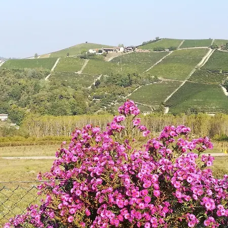 La Casa Dei Masue' Kır Evi Alba (Piedmont)