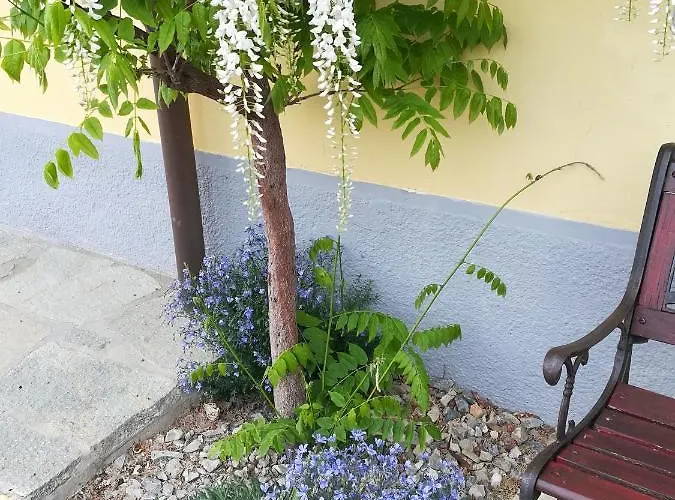 Casa rural La Casa Dei Masue'