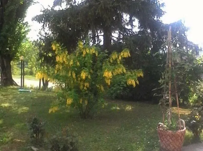 La Casa Dei Masue' * Alba (Piedmont)