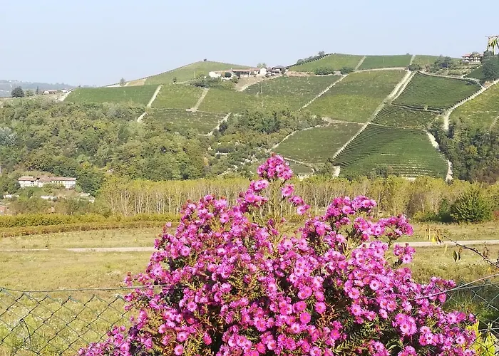 La Casa Dei Masue' Casa rural Alba (Piedmont)